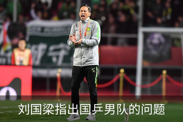 刘国梁指出国乒男队的问题