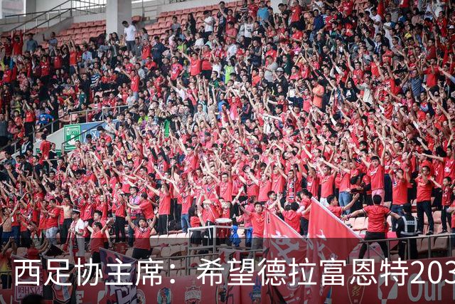 西足协主席：希望德拉富恩特2030年继续带队，我们对他很满意