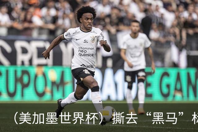 （美加墨世界杯）撕去“黑马”标签 摩洛哥带着非洲足球的突破离场